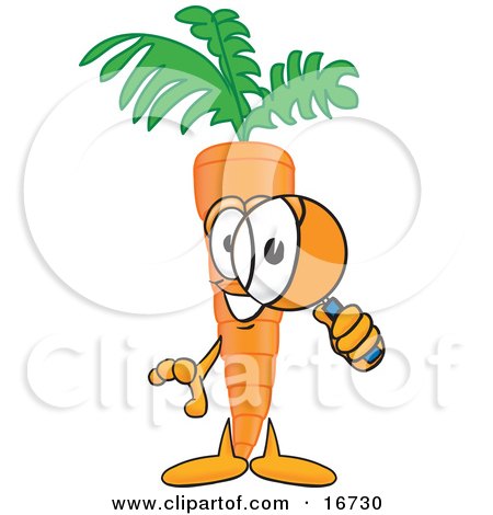 Clipart Picture of an Orange Carrot Mascot Cartoon Character Inspecting and Peering Through a Magnifying Glass by Mascot Junction