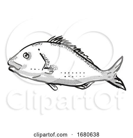 Snapper New Zealand Fish Cartoon Retro Drawing by patrimonio