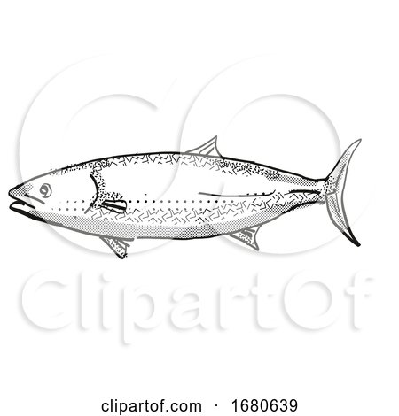 Kingfish New Zealand Fish Cartoon Retro Drawing by patrimonio