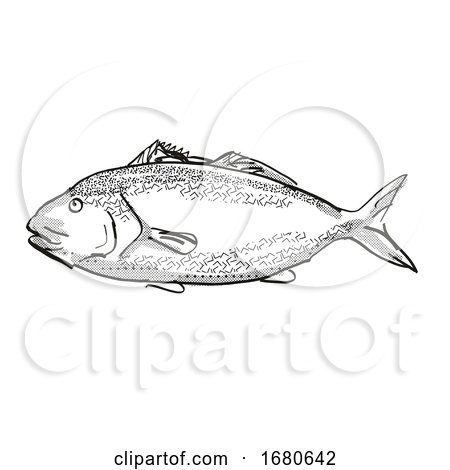 Blue Moki New Zealand Fish Cartoon Retro Drawing by patrimonio