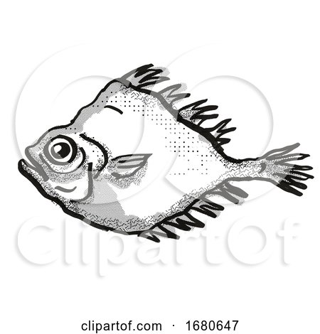 Smooth Oreo New Zealand Fish Cartoon Retro Drawing by patrimonio