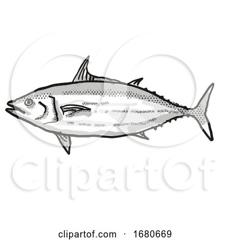 Skipjack Tuna Australian Fish Cartoon Retro Drawing by patrimonio