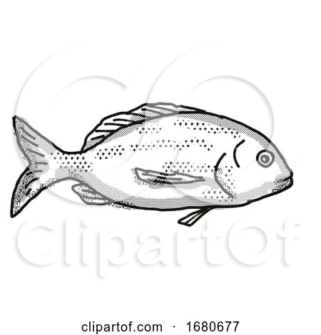 Yellowfin Bream Australian Fish Cartoon Retro Drawing by patrimonio