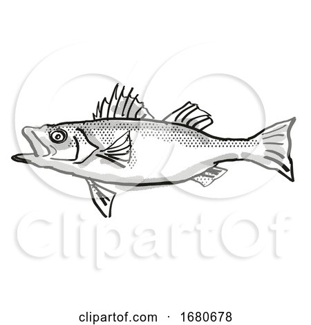 Japanese Seaperch Fish Cartoon Retro Drawing by patrimonio