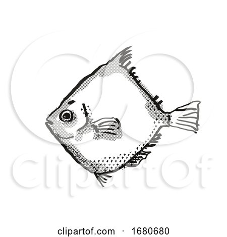 Rosy Deepsea Boarfish Australian Fish Cartoon Retro Drawing by patrimonio