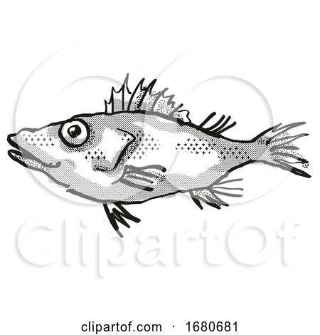 Longsnout No-line Scorpionfish Australian Fish Cartoon Retro Drawing by patrimonio