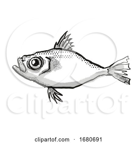 Japanese Dory Fish Cartoon Retro Drawing by patrimonio