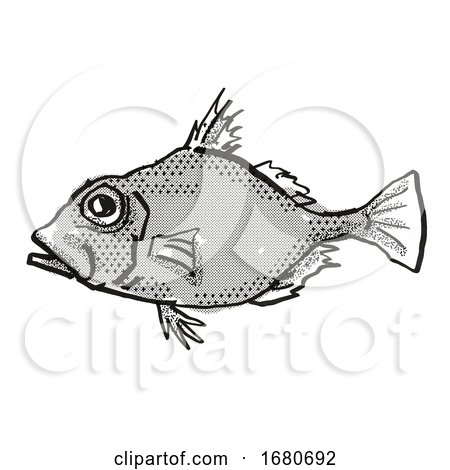 False Dory Australian Fish Cartoon Retro Drawing by patrimonio