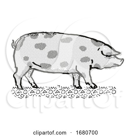Oxford Sandy and Black Pig Breed Cartoon Retro Drawing by patrimonio