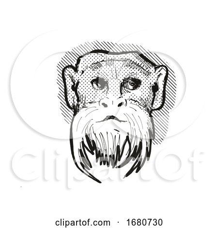 Emperor Tamarin Monkey Cartoon Retro Drawing by patrimonio