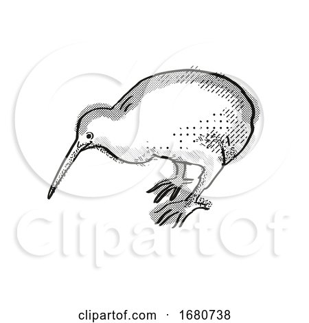 Kiwi New Zealand Bird Cartoon Retro Drawing by patrimonio
