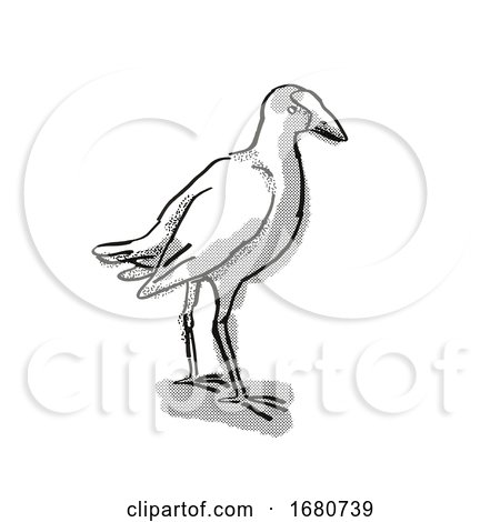 Pukeko New Zealand Bird Cartoon Retro Drawing by patrimonio