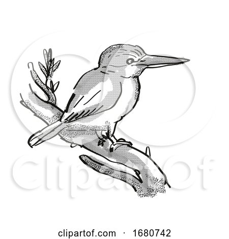 Kingfisher New Zealand Bird Cartoon Retro Drawing by patrimonio