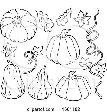 Pumpkins and Vine by visekart