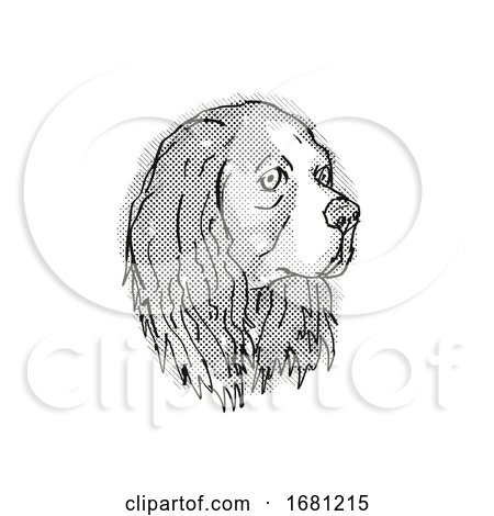 Cavalier King Charles Spaniel Dog Breed Cartoon Retro Drawing by patrimonio