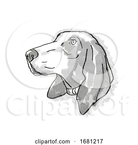 Bracco Italiano Dog Breed Cartoon Retro Drawing by patrimonio