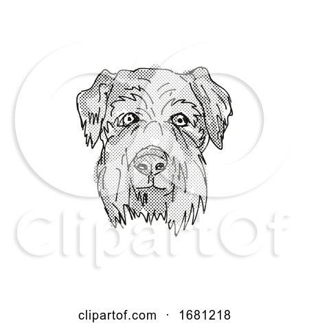 Cesky Terrier Dog Breed Cartoon Retro Drawing by patrimonio