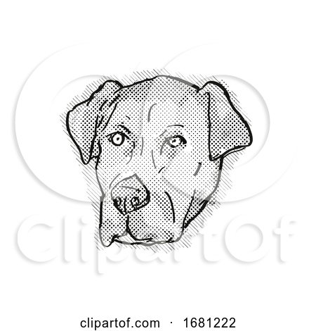 Catahoula Bulldog or American Mastahoulas Dog Breed Cartoon Retro Drawing by patrimonio