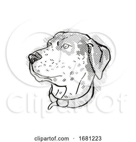 Catahoula Leopoard Dog Breed Cartoon Retro Drawing by patrimonio