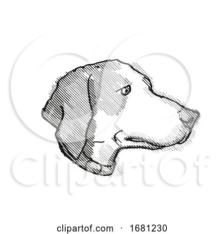 Harrier Dog Breed Cartoon Retro Drawing by patrimonio