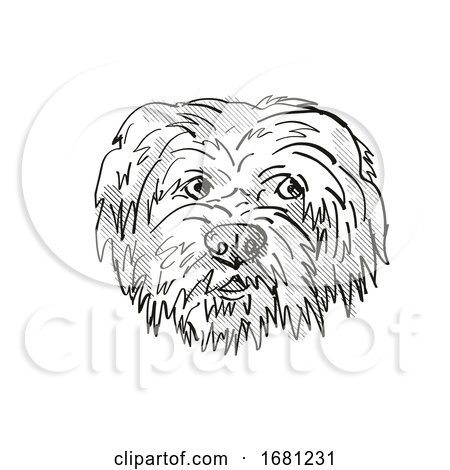 Havanese Dog Breed Cartoon Retro Drawing by patrimonio
