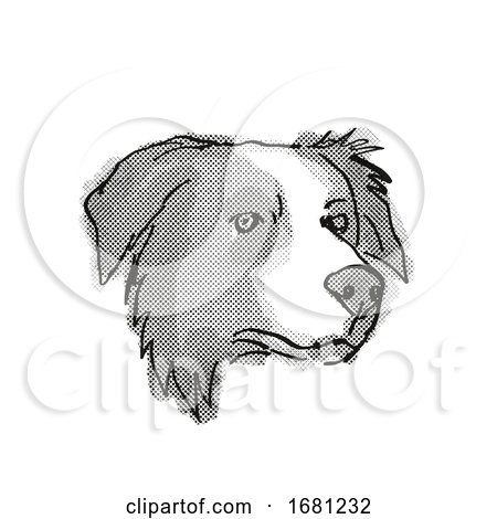 Border Collie Dog Breed Cartoon Retro Drawing by patrimonio