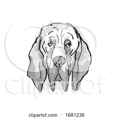 Bloodhound Dog Breed Cartoon Retro Drawing by patrimonio