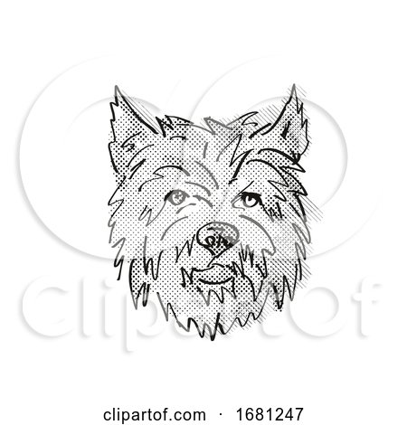 Cairn Terrier Dog Breed Cartoon Retro Drawing by patrimonio