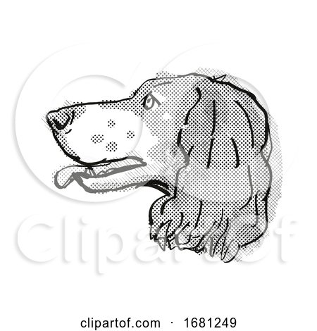 French Spaniel Dog Breed Cartoon Retro Drawing by patrimonio