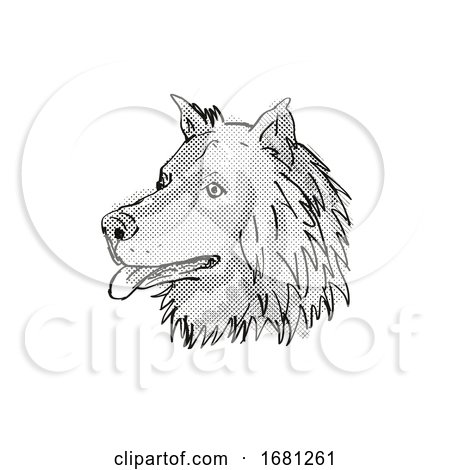 Eurasier or Eurasian Spitz Dog Breed Cartoon Retro Drawing by patrimonio