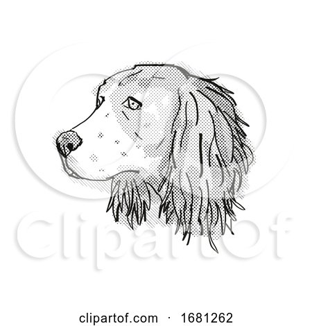 English Springer Spaniel Dog Breed Cartoon Retro Drawing by patrimonio