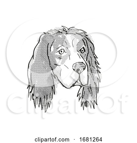 English Setter Dog Breed Cartoon Retro Drawing by patrimonio