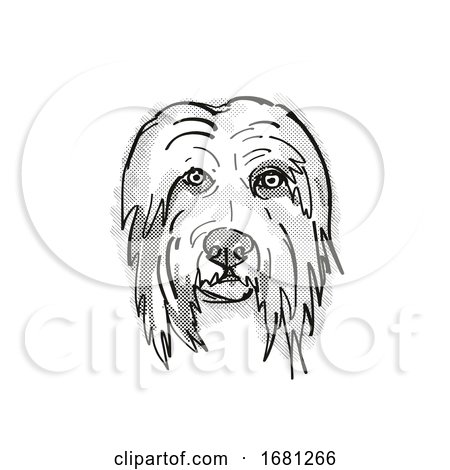 Bearded Collie Dog Breed Cartoon Retro Drawing by patrimonio
