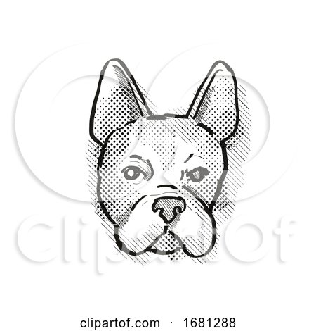 Boston Terrier Dog Breed Cartoon Retro Drawing by patrimonio
