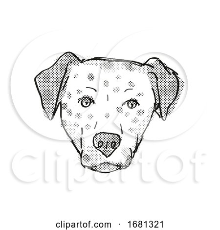 Bullmatian Dog Breed Cartoon Retro Drawing by patrimonio