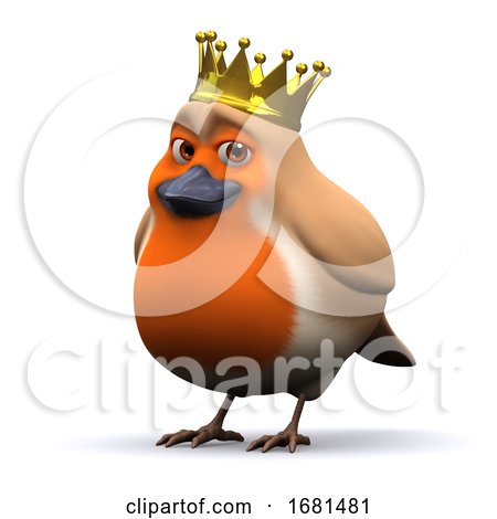 3d King Robin Red Breast by Steve Young