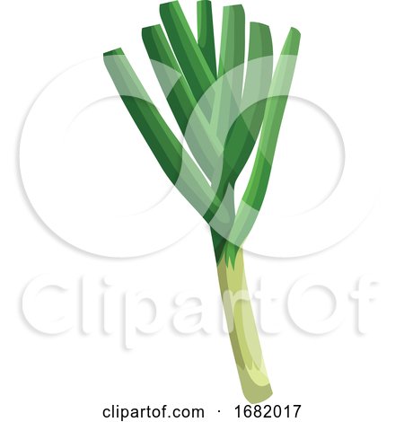 Light Green Leeks with Dark Green Leafs by Morphart Creations