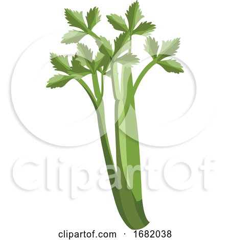 Green Celery with Leafs by Morphart Creations