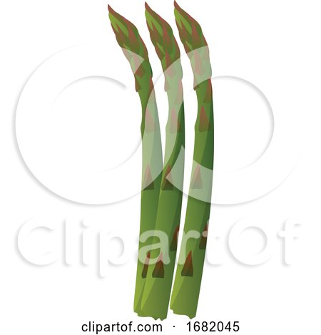 Green Asparagus by Morphart Creations