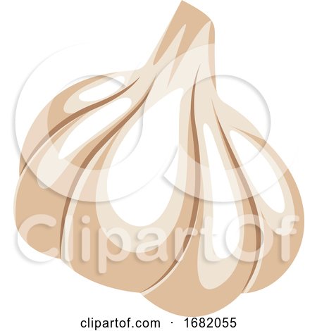 White Cartoon Garlic by Morphart Creations