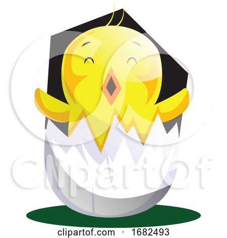 Easter Chick Hatching from Egg Shell Illustrated Web on White Background by Morphart Creations