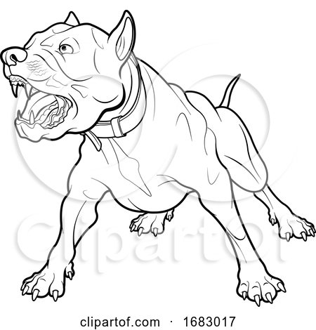 Black and White Angry Pit Bull Dog by Pushkin #1683017