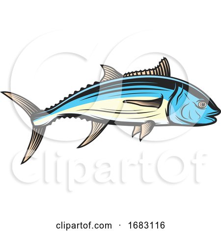 Tuna Fish by Vector Tradition SM