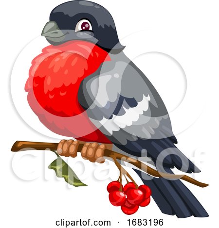 Cute Robin Bird by Vector Tradition SM