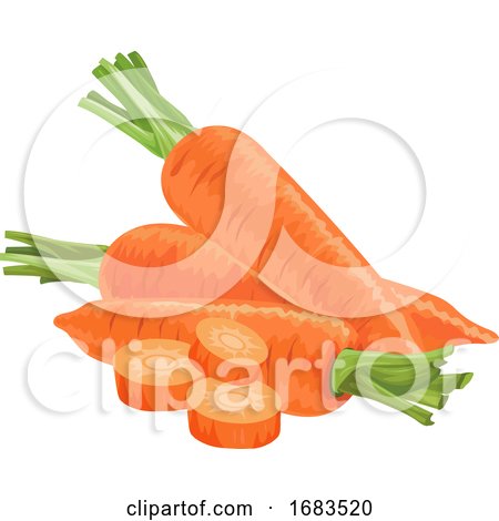 Fresh Carrots by Morphart Creations