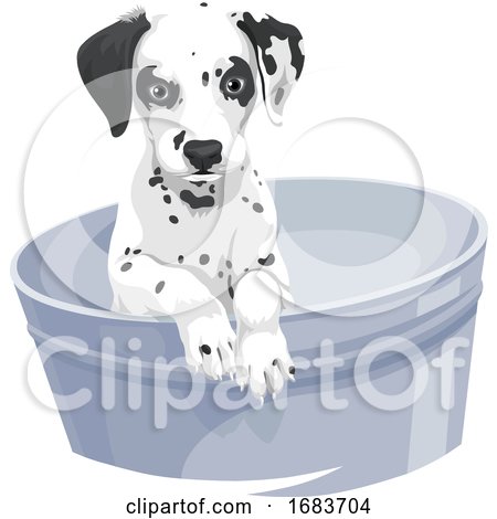 Dalmation Dog in Bathtub by Morphart Creations