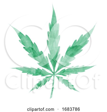 Green Watercolor Cannabis Leaf by Domenico Condello