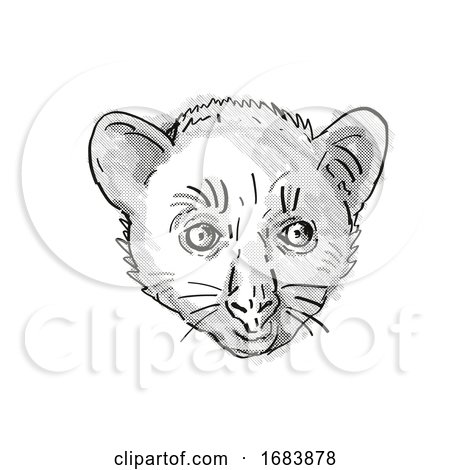 Aye-Aye or Daubentonia Madagascariensis Endangered Wildlife Cartoon Retro Drawing by patrimonio
