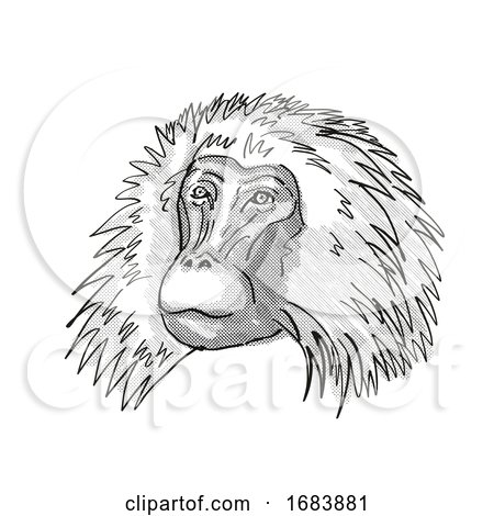 Shaggy Male Gelada Monkey Cartoon Retro Drawing by patrimonio