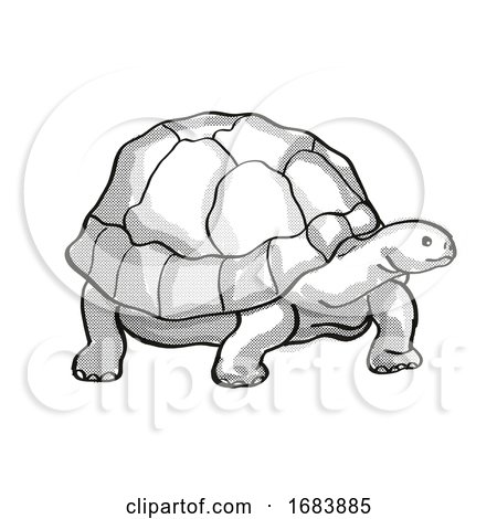 Galapagos Tortoise or Geochelone Nigra Endangered Wildlife Cartoon Mono Line Drawing by patrimonio